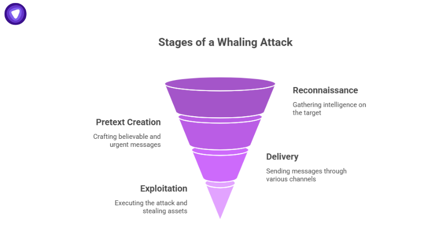 Funnel diagram showing stages of a Whaling phishing attack: reconnaissance, pretext creation, delivery, and exploitation.