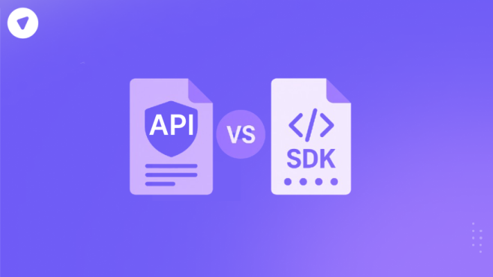 VPN API vs VPN SDK