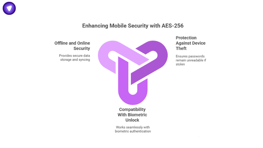 Visual showing AES-256 features that strengthen modern password vaults, highlighting offline and online security, biometric unlock compatibility, and protection against device theft.