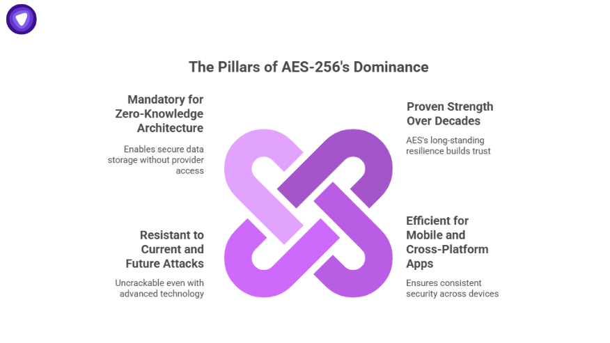 Graphic displaying the core pillars that make AES-256 essential for modern password vaults, including zero-knowledge architecture, long-term strength, resistance to advanced attacks, and efficiency across platforms.