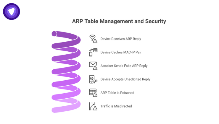 ARP table storing IP-to-MAC mappings and caching ARP replies for faster LAN communication.
