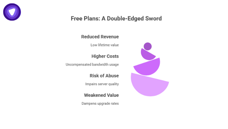 Challenges of offering free VPN plans including reduced revenue, higher costs, risk of misuse, and weakened perceived value.