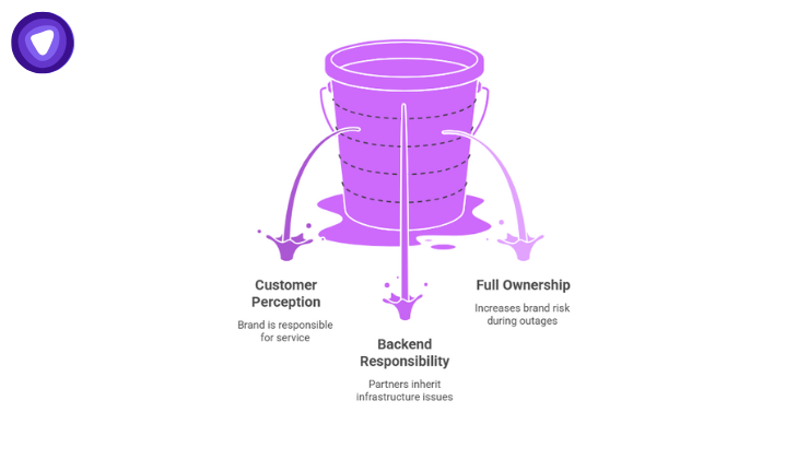 Illustration of a leaking purple bucket represents the risks of full ownership, highlighting that the brand is held responsible for service quality, partners inherit infrastructure issues, and brand risk increases during outages.
