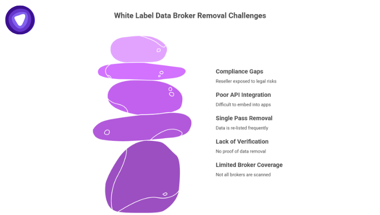 Infographic showing five white label data broker removal challenges represented by a stack of purple stones.
