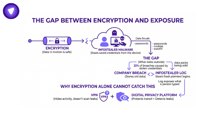 Minimal infographic mapping encryption vs. malware exposure in purple and white.