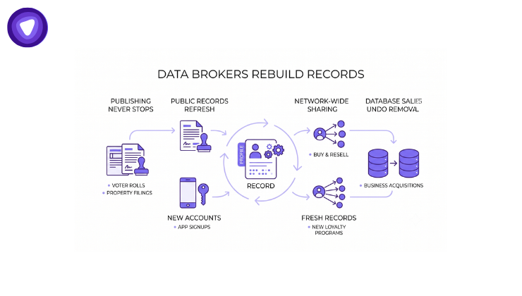 Graphic summarizing the complex nature of the data broker industry, highlighting how information continues to flow and regenerate even after opt-out efforts.